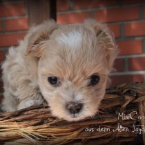 Werden Sie Teil des Unterstützernetzwerks