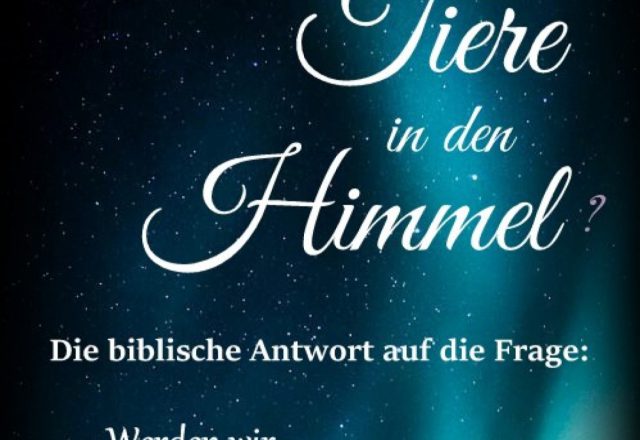 Kommen Tiere in den Himmel? Die biblische Antwort auf die Frage: Werden wir uns wiedersehen?