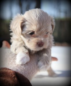 Besuche NACH ABSPRACHE möglich